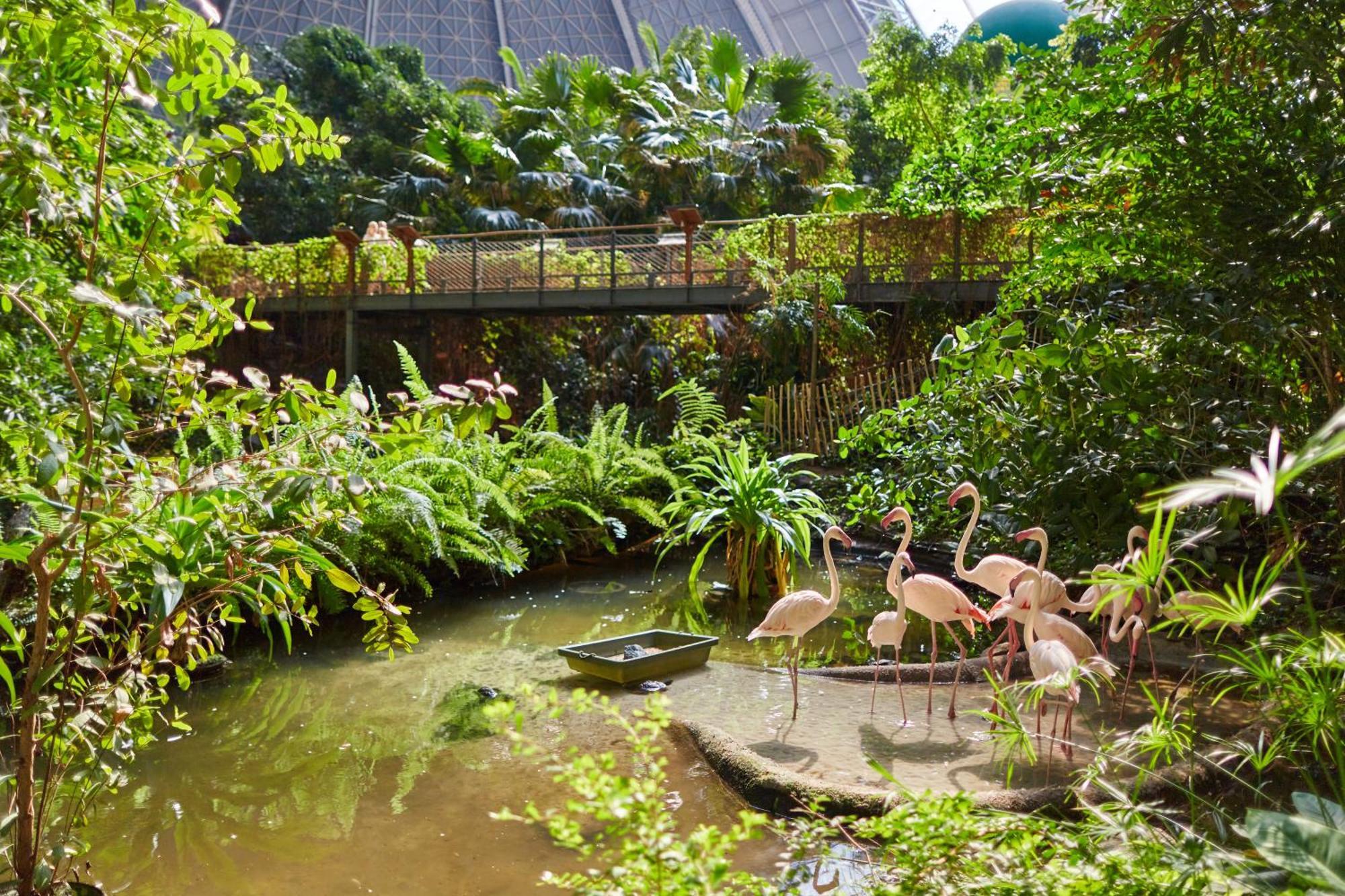 Tropical Islands Resort Briesen  Exterior photo